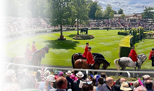 Ascot-Racecourse-case-study-header-mobile
